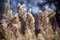 Wheat Landscape _ Wheat Field Farmer Agriculture