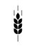 Wheat logo. Icon bakery. Spike wheat. Bread grain isolated on background. Stalk oat, barley, corn, rye, malt, bran, millet, maize,