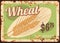 Wheat metal rusty plate, cereals and grain food