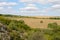 Wheat plantation view from above