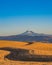 Wheat Ready to Harvest in Central Oregon