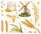 Wheat, rice, oats, barley, flour, mill, grain. 3d realistic vector icon set