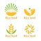 Wheat Rice seed logo sign vector set design