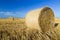 Wheat roll bales at field, sunrise scene.