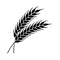 Wheat or rye ears icon. Farm or bakery symbol.