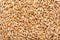 Wheat Seeds Background
