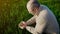 Wheat seeds in male hands. Farmer holding crop harvest against green field background