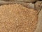 Wheat seeds in a sack of jute after harvest