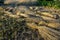 Wheat sheaves in a pile