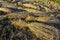 Wheat sheaves in a pile