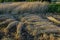 Wheat sheaves in a pile