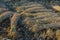 Wheat sheaves in a pile