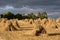 Wheat sheaves in stooks