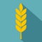 Wheat spike icon, flat style