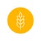 Wheat spike vector icon isolated on circle background, grain ear icon element for organic food design