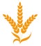 Wheat spikelet abstract cereal grain outline icon