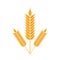 wheat spikes isolated icon