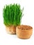 Wheat sprouts and wheat seeds in the wooden bowl