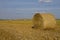 Wheat straw bales in a field