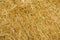 Wheat straws background