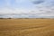 Wheat stubble fields