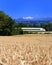 Wheat Train Lake Aps