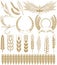 Wheat vector