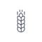 Wheat vector line icon cereal. Wheat stroke malt icon