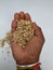 Wheat and Waste of Shell holding in a hand and cup dropping from top. Wheat scattered and texture  on white background