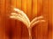 Wheat on wooden autumn background. EPS 10