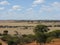 Wheatbelt landscape near Wongan Hills in Western Australia