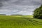 Wheatfield near Stonehenge on a cloudy day