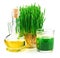 Wheatgrass juice with sprouted wheat and wheat ger