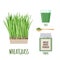 Wheatgrass set with powder and green juice in flat style isolated on white.