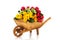 Wheel barrow flowers