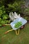 Wheel barrow on the grass in the garden with plants flowers and leaves
