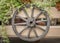 A wheel from a cart hanging on a fence with plants.