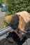 Wheel loader bucket