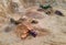 Wheel loader loading sand into dump truck in open pit. Arial view of jaw crusher sand making production line. Heavy mining