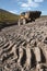 Wheel loader in a mountainous area in an industrial area where minerals are mined.