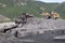 Wheel loader in a mountainous area in an industrial area where minerals are mined.