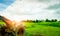 Wheel plow or wheel plough parked at green rice paddy field. Agricultural Machinery. Pedestrian controlled tractor. Rice farm