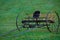 Wheel Rakes on a green grass in the sunlight. Hay Equipment