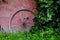 Wheel by red wall and green hedera