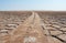 Wheel tracks on salt flat polygons of desert