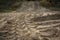 Wheel trail on sandy ground from large transport, tractor on construction site, sandy road