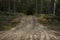 Wheel trail on sandy ground from large transport, tractor on construction site, sandy road