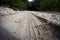 Wheel tread print on a sandy road in the forest. Cover the trail of dirty tires on the floor. Off-road background