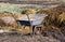 Wheelbarrow with cattle manure