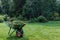 Wheelbarrow with cut grass in the garden. a park. cart one wheel.